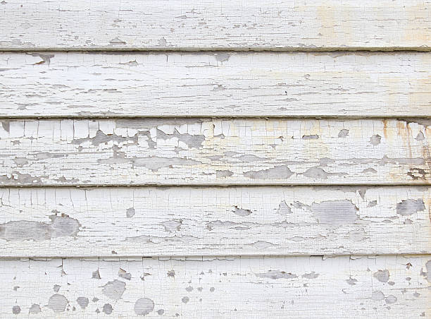 Best Storm Damage Siding Repair  in Plains, TX